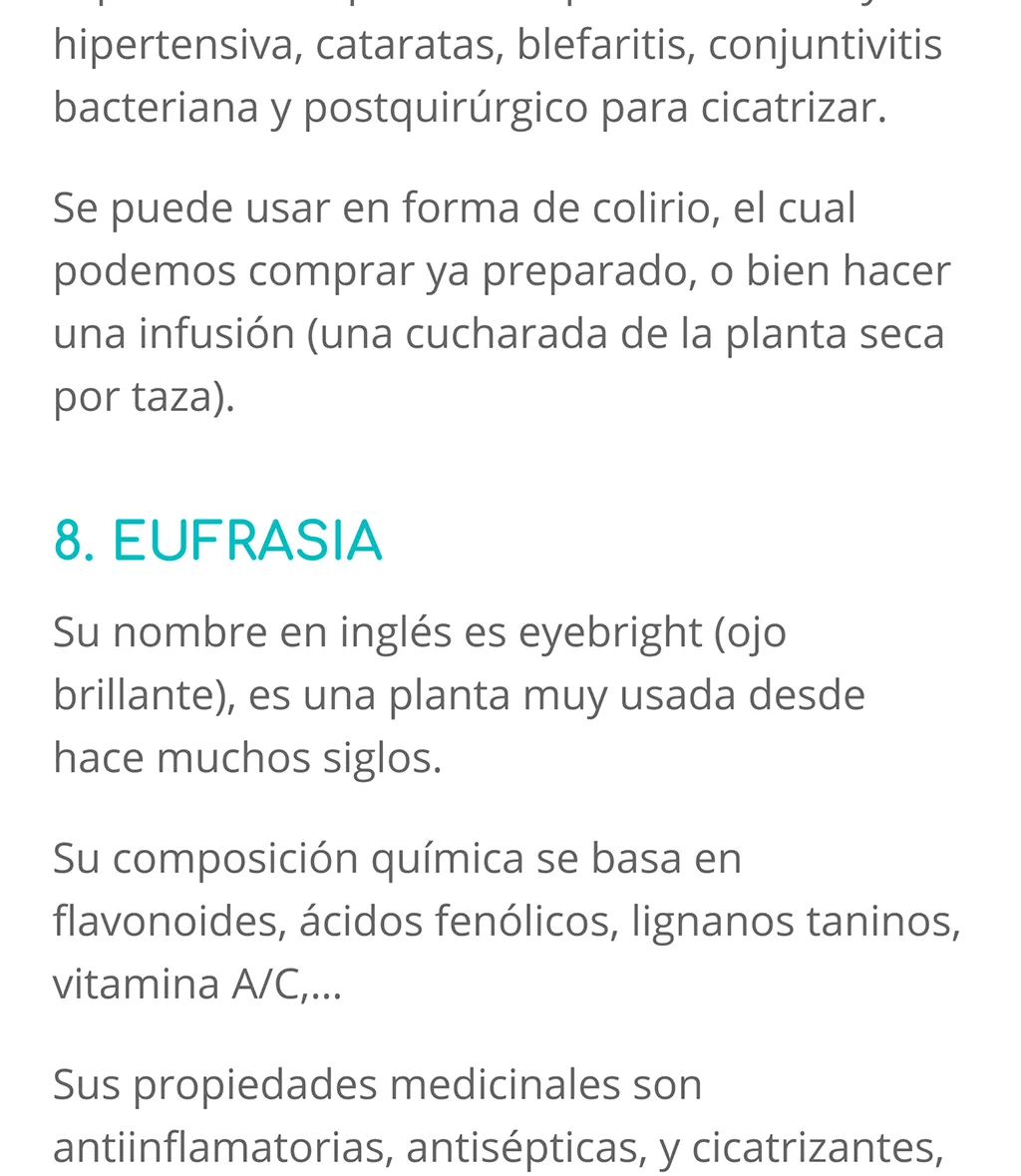 Fisio Ocular - Blog