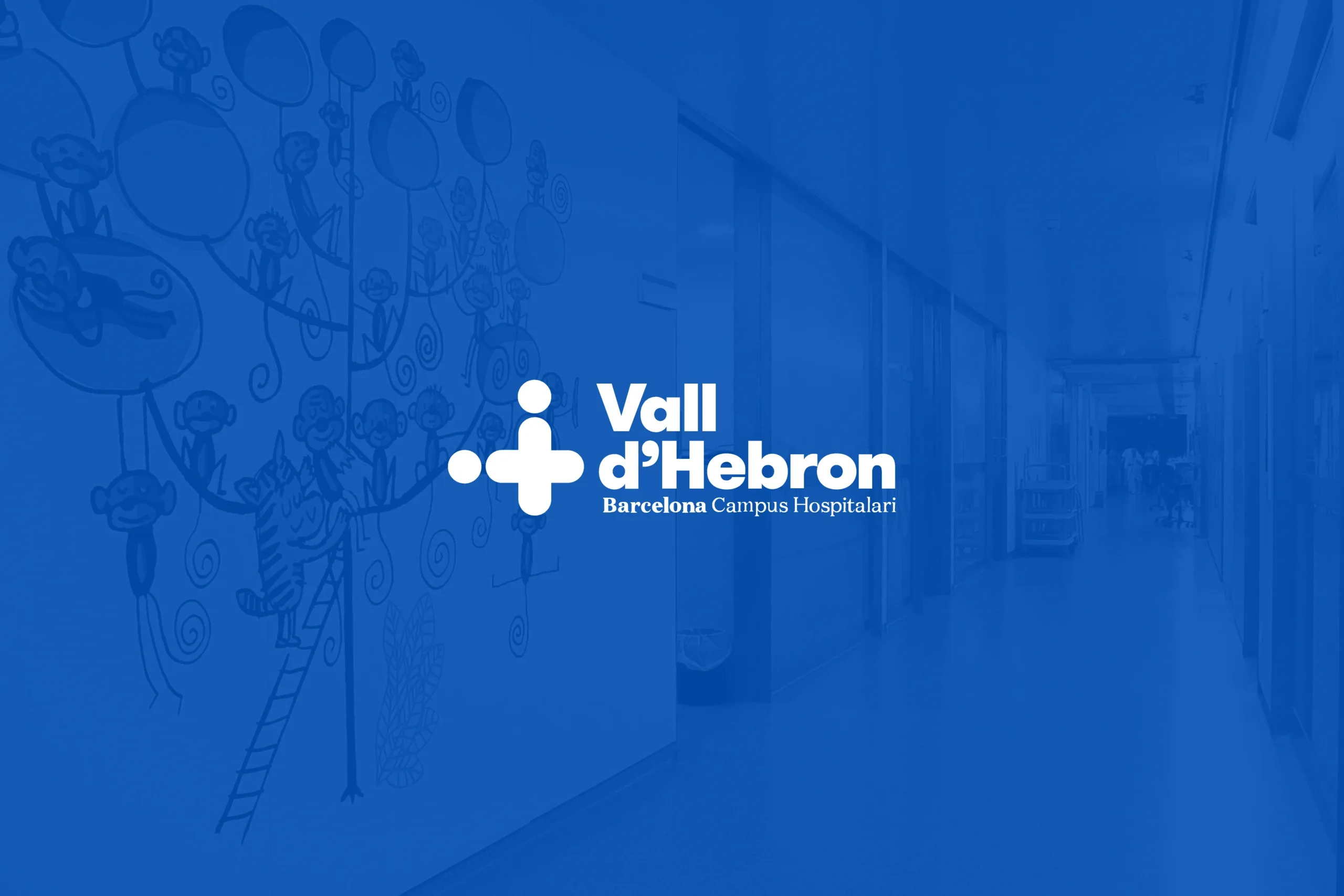 Hospital Vall d'Hebron | UCIP